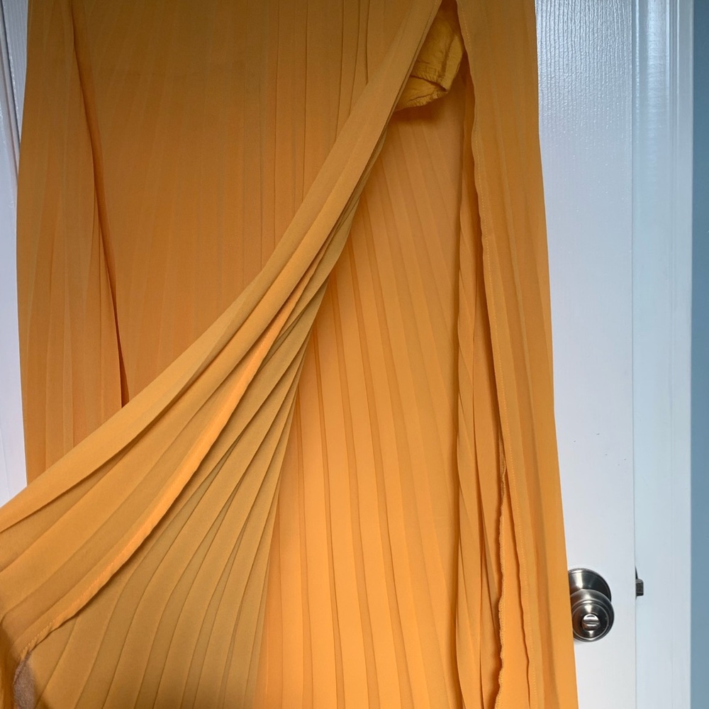 Pleated sheer high waisted skirt - Picture 6 of 11